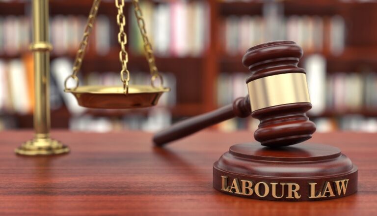 Dismantling labour laws would leave millions acutely vulnerable