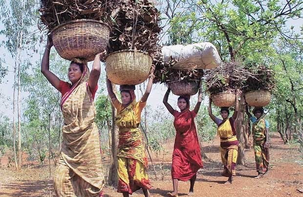 How Draft EIA Notification Compromises Rights of Tribal and Forest Dwelling Communities